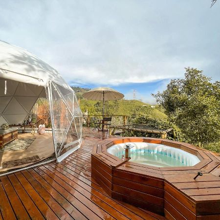Hotel Nazca Glamping Villamaría Exterior foto